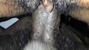 Grobo in dlakavo kurbo polnijo s spermo v domačem videu