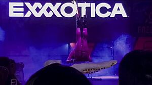 Η Anastasia Dior γιορτάζει την 15η επέτειο της Exxxotica στο Edison, NJ