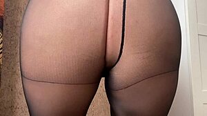 Tgirls travesties dans une session solo torride en collants